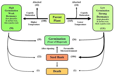 Environmental Regulation of Weed Seed Dormancy and Germination