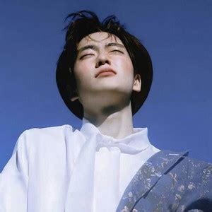 DoubleU 的图像结果