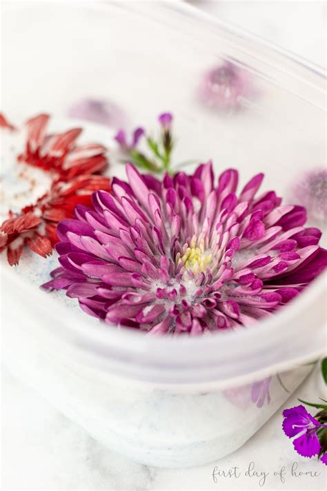 How To Dry A Bouquet Of Flowers With Silica Gel | Best Flower Site