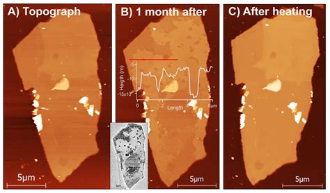 Surface-Bound and Volatile Mo Oxides Produced During Oxidation of ...