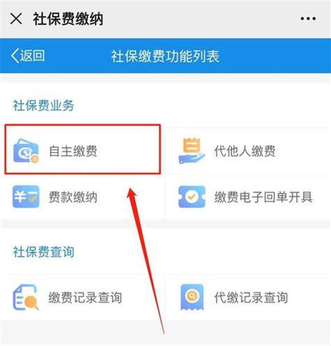 社保如何补缴 自己怎么交社保_360新知