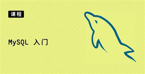 Getting Started with MySQL 的图像结果