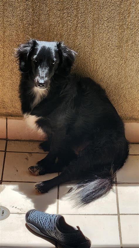 Honeydew - Always wondered what mix or mixes she could have. She's the ...