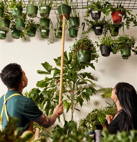 Image result for Square Loyalty Program