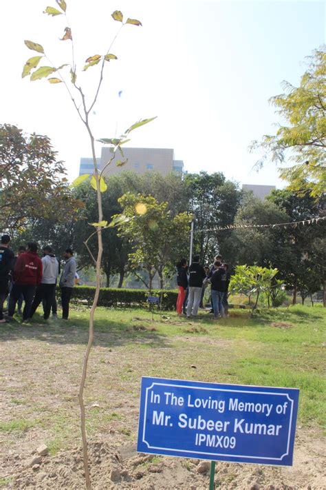 Tree Plantation at Noida Campus - Newsroom - IIML Alumni Network