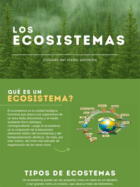 Image result for Environment