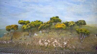 Rail Scale Miniatures Australian Golden Wattle Model Trees – HO Scale ...