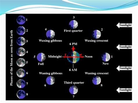 Moon Phases. - ppt download
