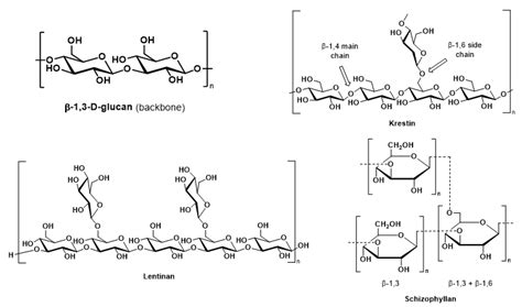 Mushroom Polysaccharide-Assisted Anticarcinogenic Mycotherapy ...