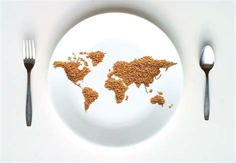 Animal Products & World Hunger - FOUR PAWS International - Animal ...