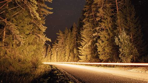 Wallpaper road, trees, long exposure, spruce hd, picture, image