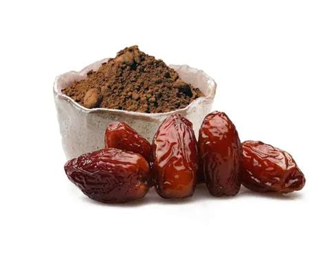 Phoenix dactylifera | TheWholesalerCo – TheWholesalerCo India