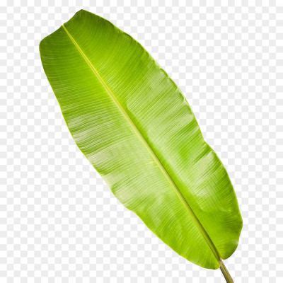 Bana Transparent PNG - Pngsource