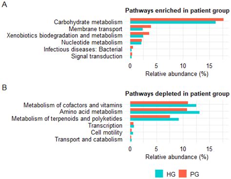 Diversity and Functional Predictions of Gut Microbiota in Vietnamese ...