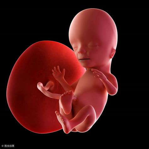 孕妇三维排畸 这个图像是胎儿的哪个部位 - 百度宝宝知道