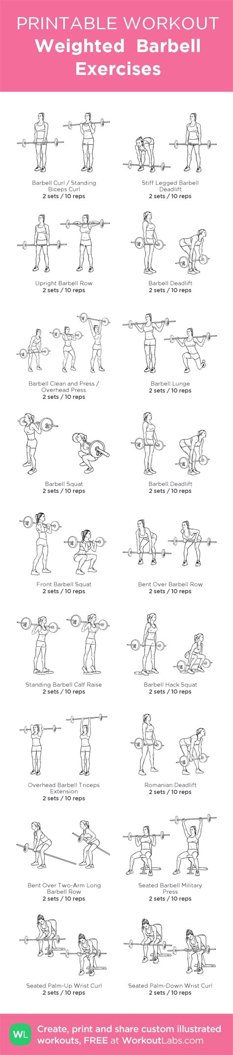Image result for Exercise Spring Bar Workout Chart