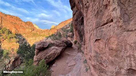 Canyon Overlook Trail (Zion)