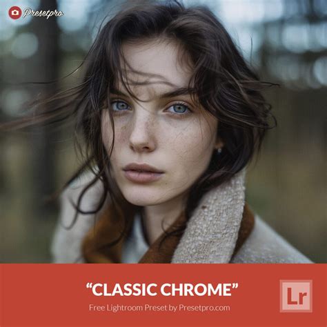 Free Lightroom Preset and Profile | Chill - Presetpro.com