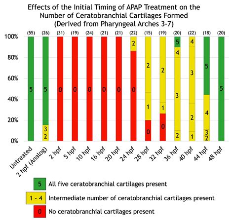 Acetaminophen Disrupts the Development of Pharyngeal Arch-Derived ...