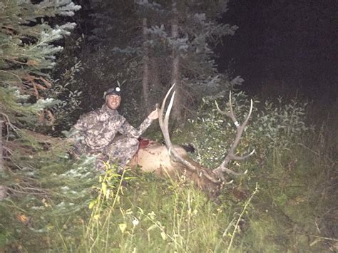 Bowhunting Hogs At Night With Sniper Hog Lights – Transition Wild