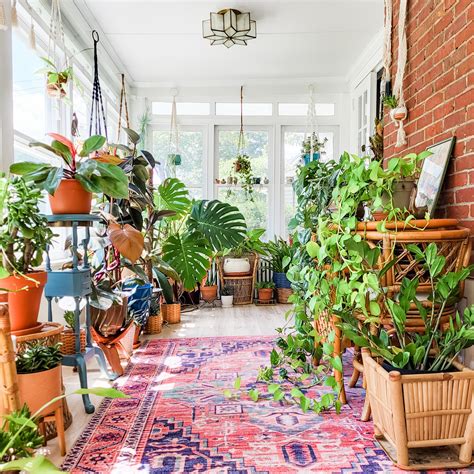 Plant Rooms Design Ideas 2,100+ Plant Wall Decor Stock Photos,