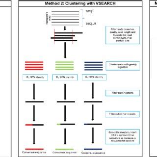 Rezultat imagine pentru Consensus Sequence Example