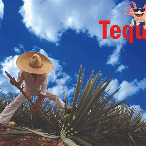 AXOL TOURS (2025) All You Need to Know BEFORE You Go (with Photos ...