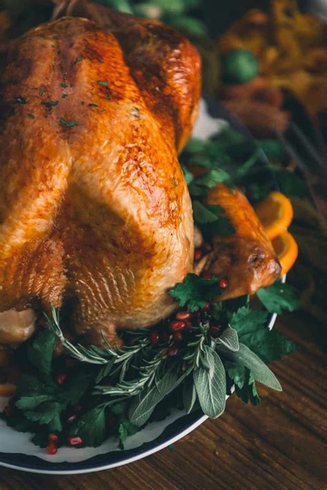 How to Thaw Frozen Turkey - Girl Carnivore