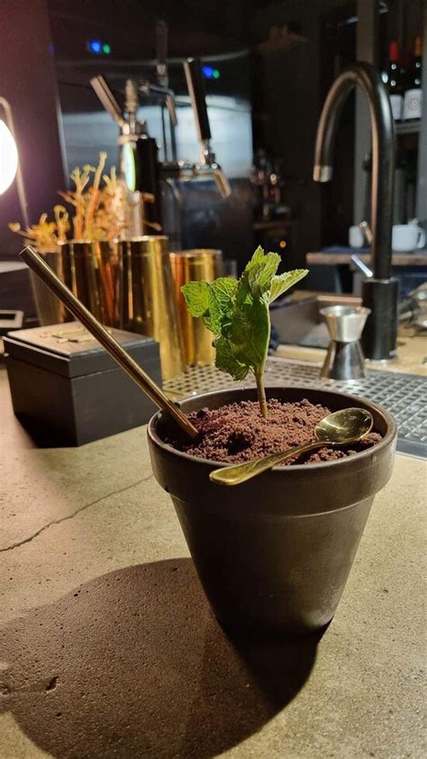 ADAMO COCKTAILBAR, Gothenburg - Restaurant Reviews & Photos - Tripadvisor