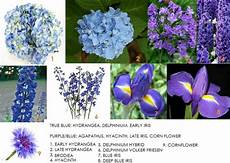 Names Of Blue Flowers For Weddings by Flower Information Modern Petals Names Of Blue Flowers For Weddings