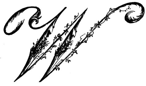 Image result for Script W