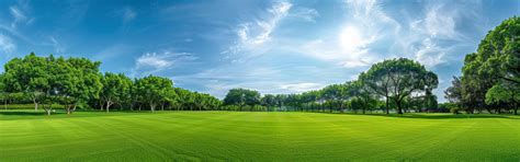 Golf Pics 的图像结果