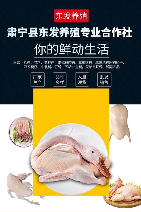北京全聚德金星鸭胚4.4斤4.6斤北京鸭坯冷冻鸭酥不腻北京烤鸭原料