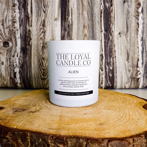 Image result for Alien 3 Candle Scene