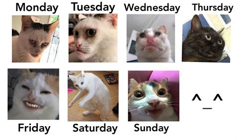 Image result for Week Week Meme