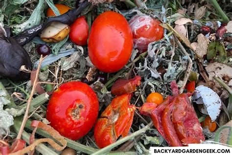 Image result for How to Compost Fast