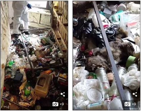 租客放弃生活变囤积狂 垃圾堆满屋子到处是蟑螂 - 每日头条