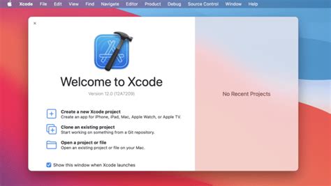 Flutter in Xcode 的图像结果