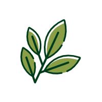 BIOCULE | Beauty from Wisdom of Nature & Power of Science | 100% Toxin ...