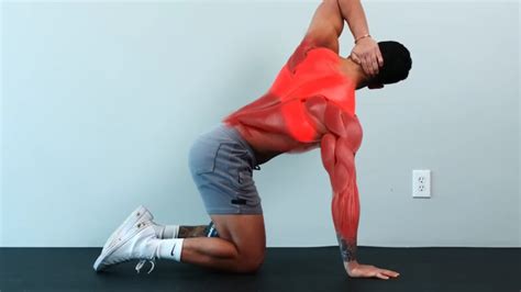 Back Alignment Exercises 的图像结果