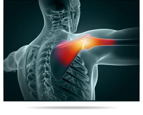 Image result for Shoulder Exercise On Cable Machine