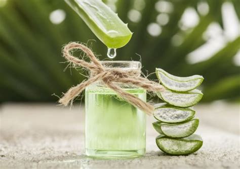 Aloe Vera Juice Benefits: एलोवेरा जूस पीने का सही तरीका और 6 फायदे ...