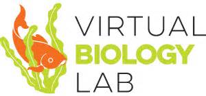 Virtual Lab Genetics 的图像结果