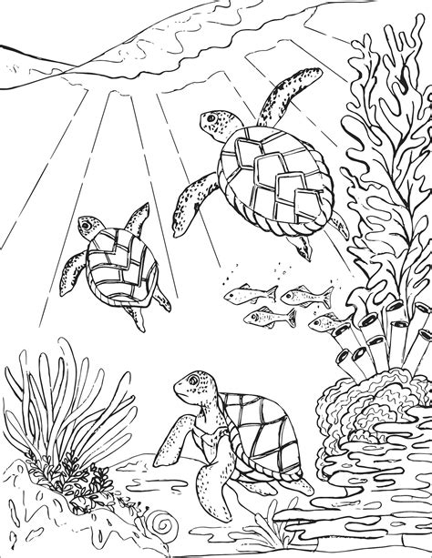 22+ Coloring Pages Of Turtles For Adults