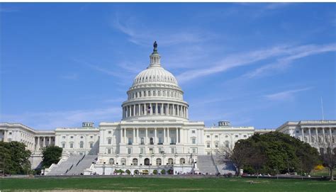 The Governance Structure of the American 的图像结果