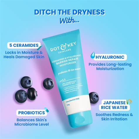 Barrier Repair Moisturizer with Ceramides + Hyaluronic Acid – Dot & Key