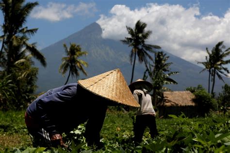 Bali volcano: Indonesian priests climb Mount Agung to offer prayers ...