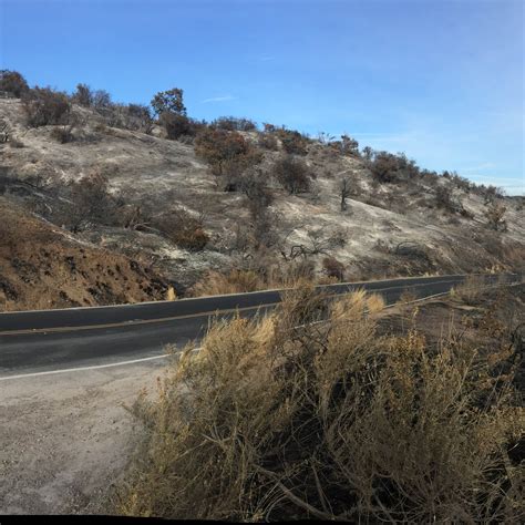 Lake Casitas Recreation Area Camping | The Dyrt