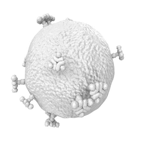 Image result for Computer Virus Transparent Background