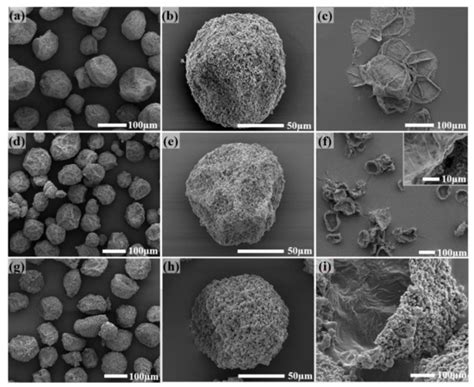 Fabrication and Property Regulation of Small-Size Polyamine ...